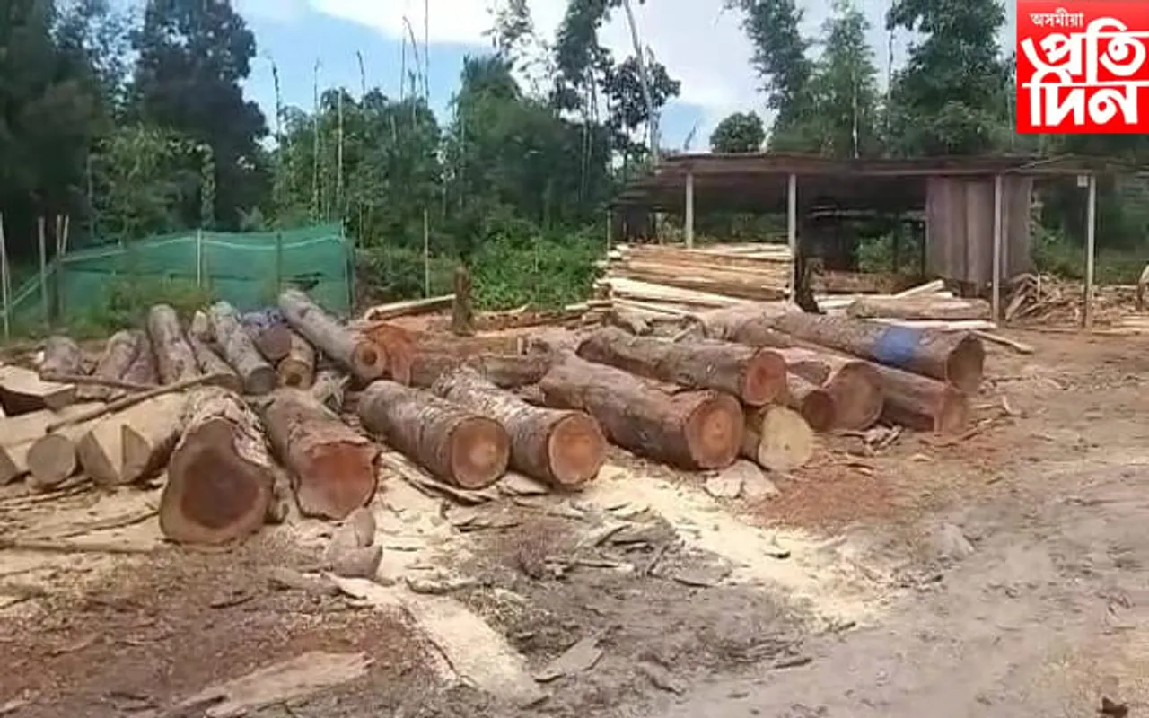 চিৰাঙত ভয়ংকৰ বন ধ্বংস কাৰ্য…