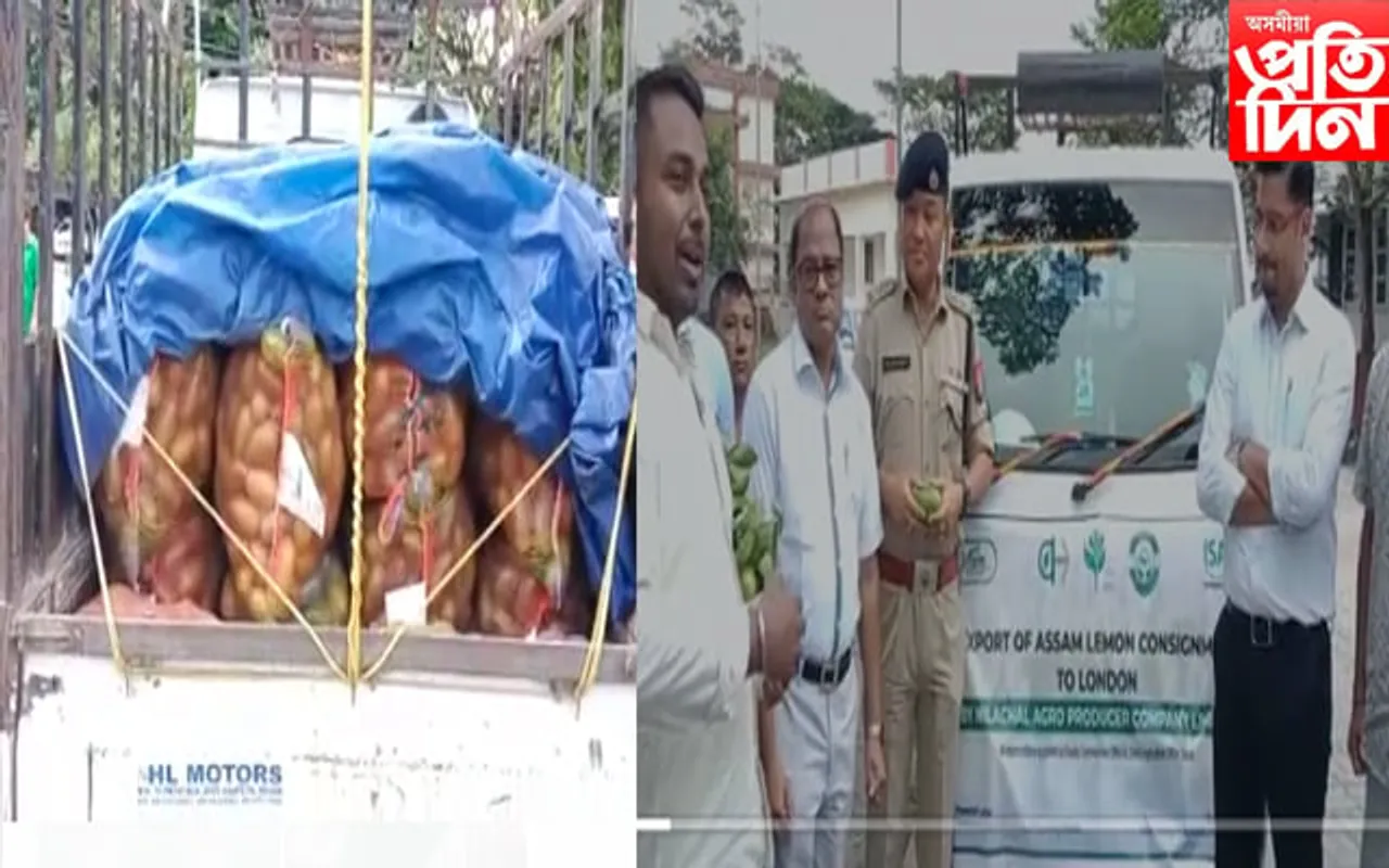 বাক্সাৰ পৰা লণ্ডনলৈ নেমু ৰপ্তানি …