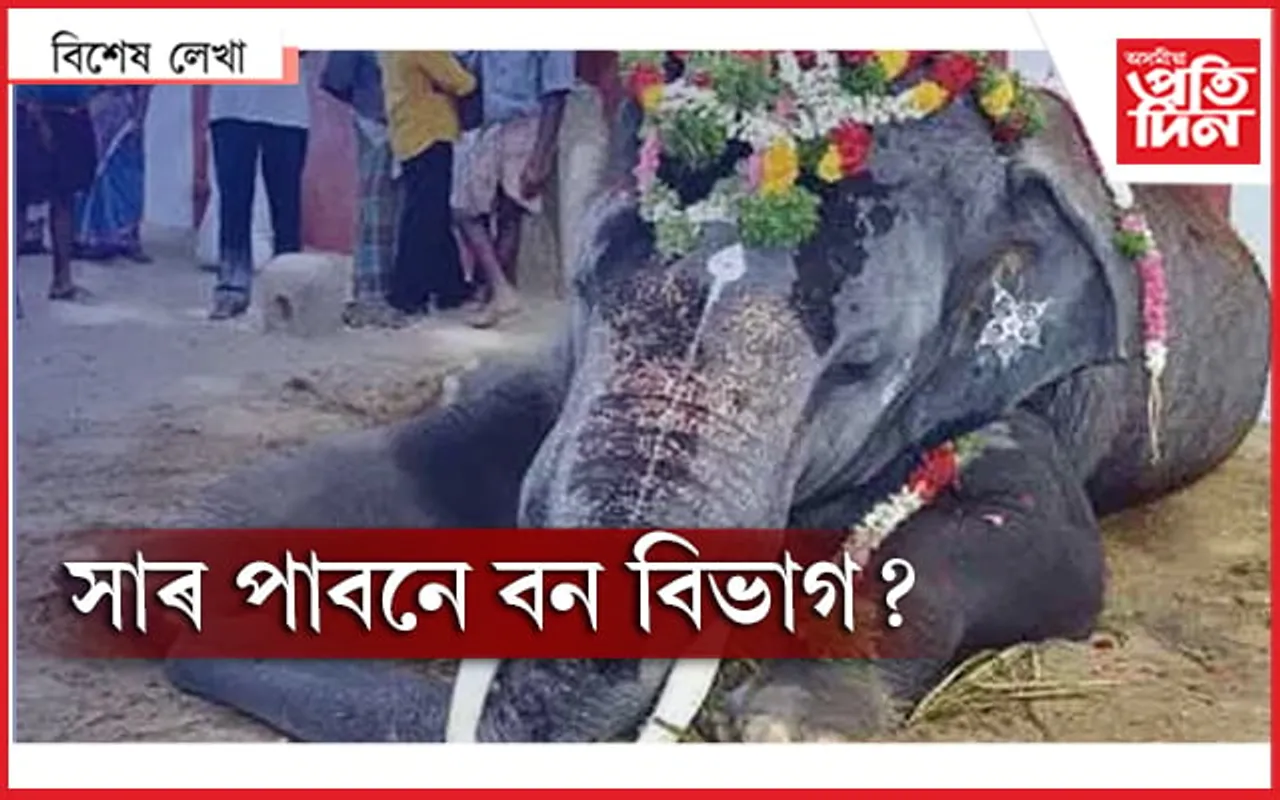 ‘বচাওক মোক’ ! তামিলনাডুত জয়মালাৰ মৰণ কাতৰ চিঞৰ…