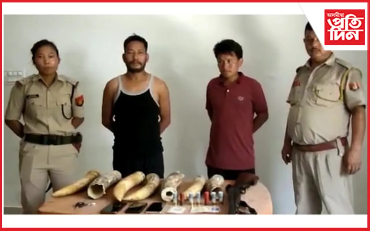 ৭ টা চোৰাং হাতীদাঁত আৰু বন্দুকসহ দুই অৰুণাচলী বন্যপ্ৰাণীৰ অংগ ব্যৱসায়ীক আটক…
