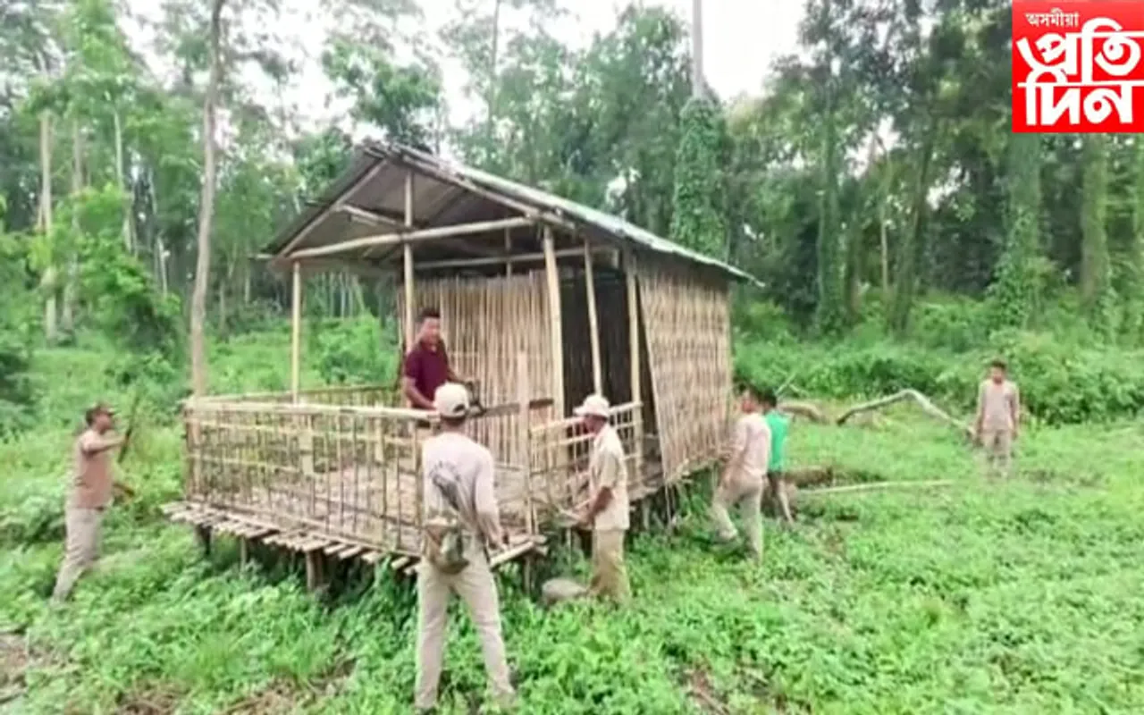 ডিফু – লামডিং পথৰ মাৰাট লংৰি সংৰক্ষিত বনাঞ্চলত বন বিভাগৰ উচ্ছেদ অভিযান…