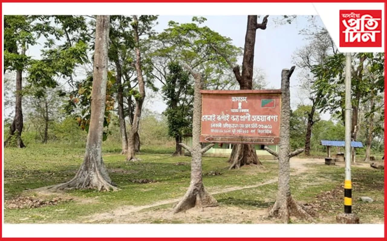 সোণাই ৰূপাইত ২ লাখ অবৈধ বেদখলকাৰী ! কিয় কৰা নহয় উচ্ছেদ? ভোট বেংকৰ বাবেই ৰাষ্ট্ৰপতিৰ পত্ৰকো অৱজ্ঞা…