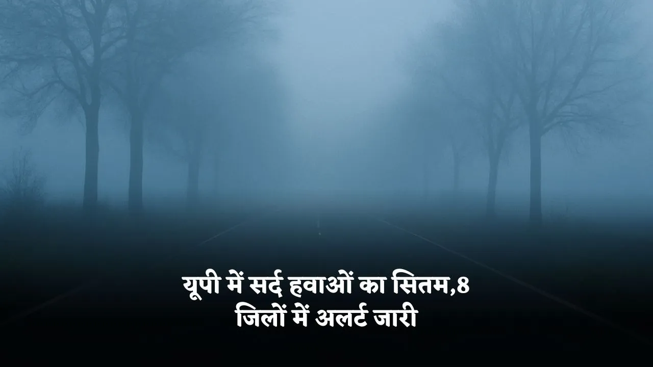 up weather cold wave alert