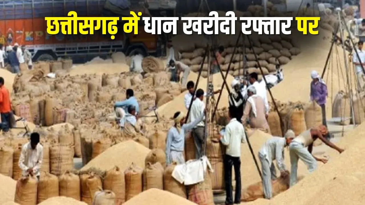 CG Dhan Kharidi News