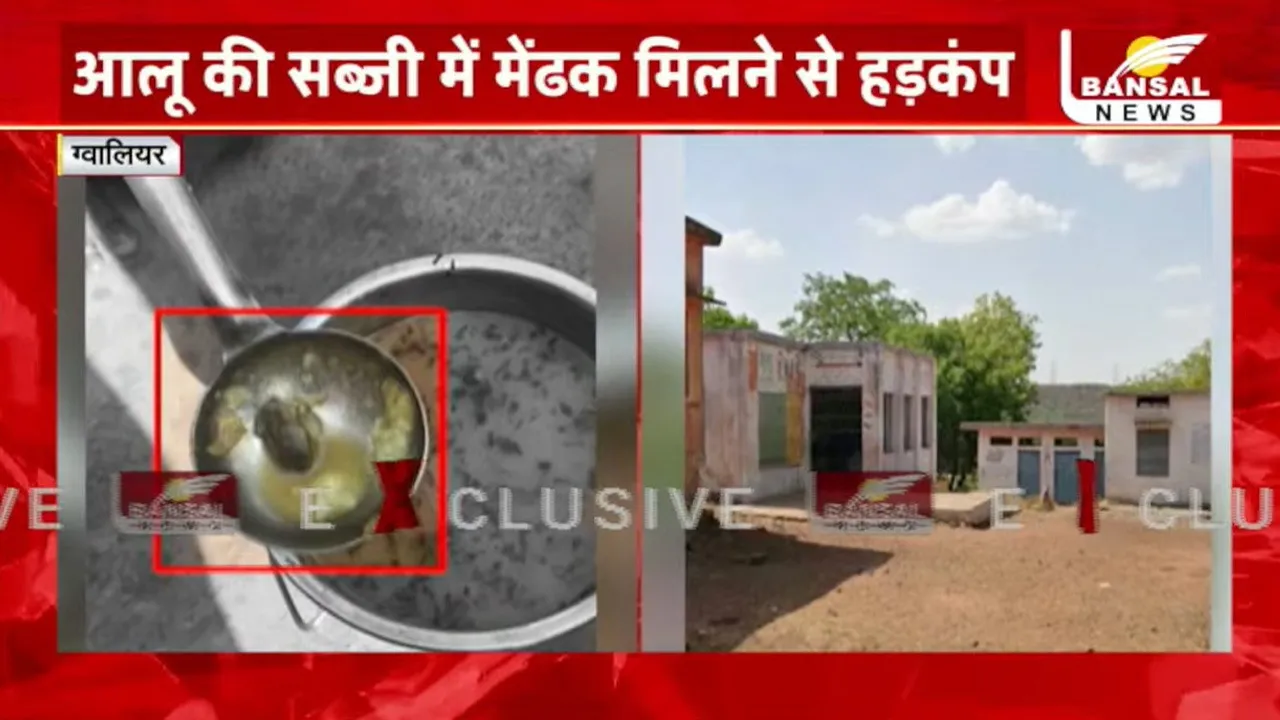 Gwalior Mid Day Meal Frog Viral Vedio News