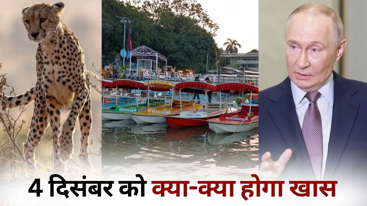 International Cheetah Day CM Mohan Yadav to release 3 cheetah Shikara boats Bhopal Bada Talab cg cm hindi news