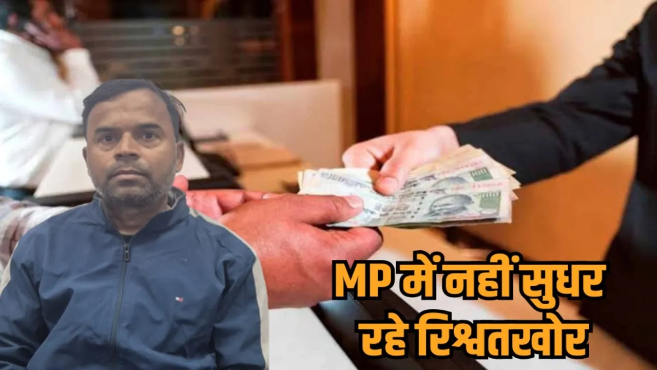 rewa patwari bribe arrest lokayukt action hindi news zvj