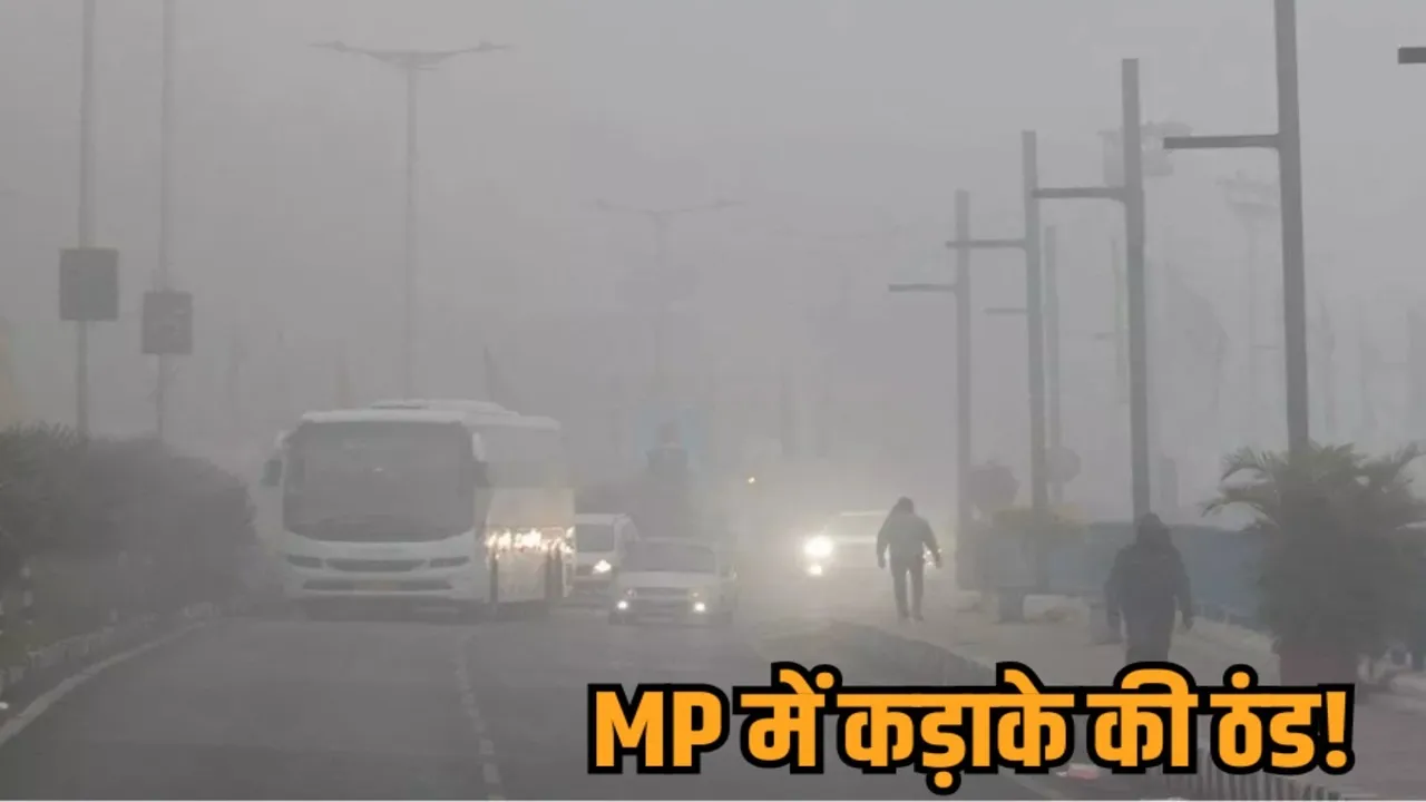 madhya pradesh weather cold wave alert indore temperature record hindi news zvj