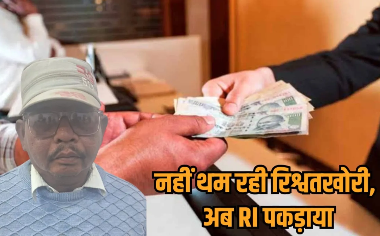 Rewa Revenue Inspector arrested while taking bribe Lokayukt Action hindi news zvj