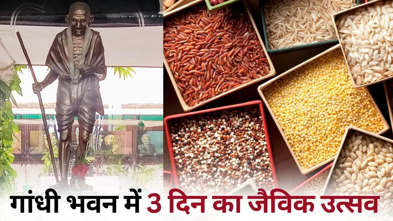 Bhopal Jaivik Utsav Gandhi Bhawan Coarse grains seeds local cuisine hindi news