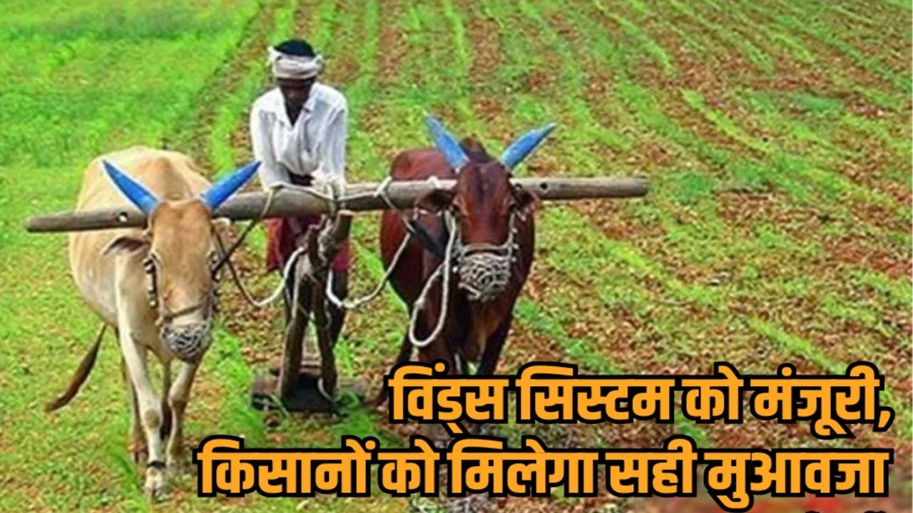 mp cabinet meeting decisions winds system weather station automatic rain gauge pm fasal bima yojana hindi news zvj