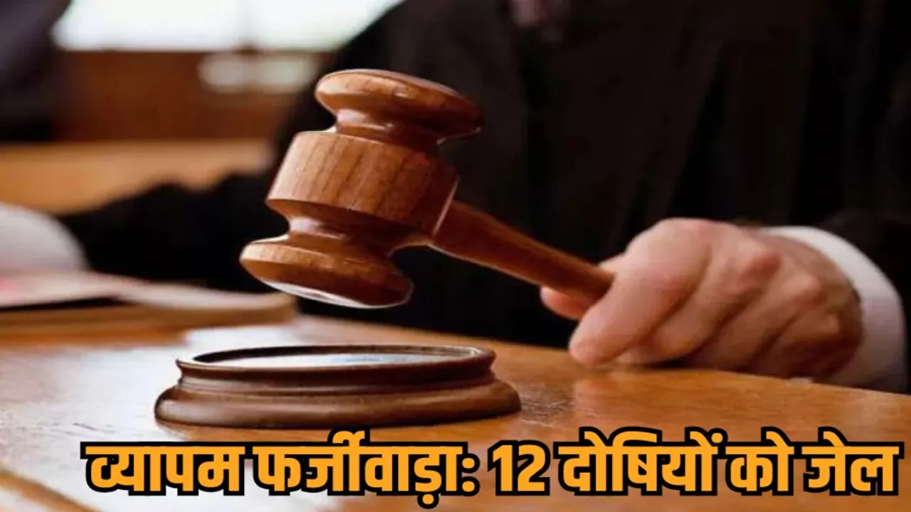 indore cbi court sentences 12 dummy candidates vyapam scam 2011 hindi news zvj