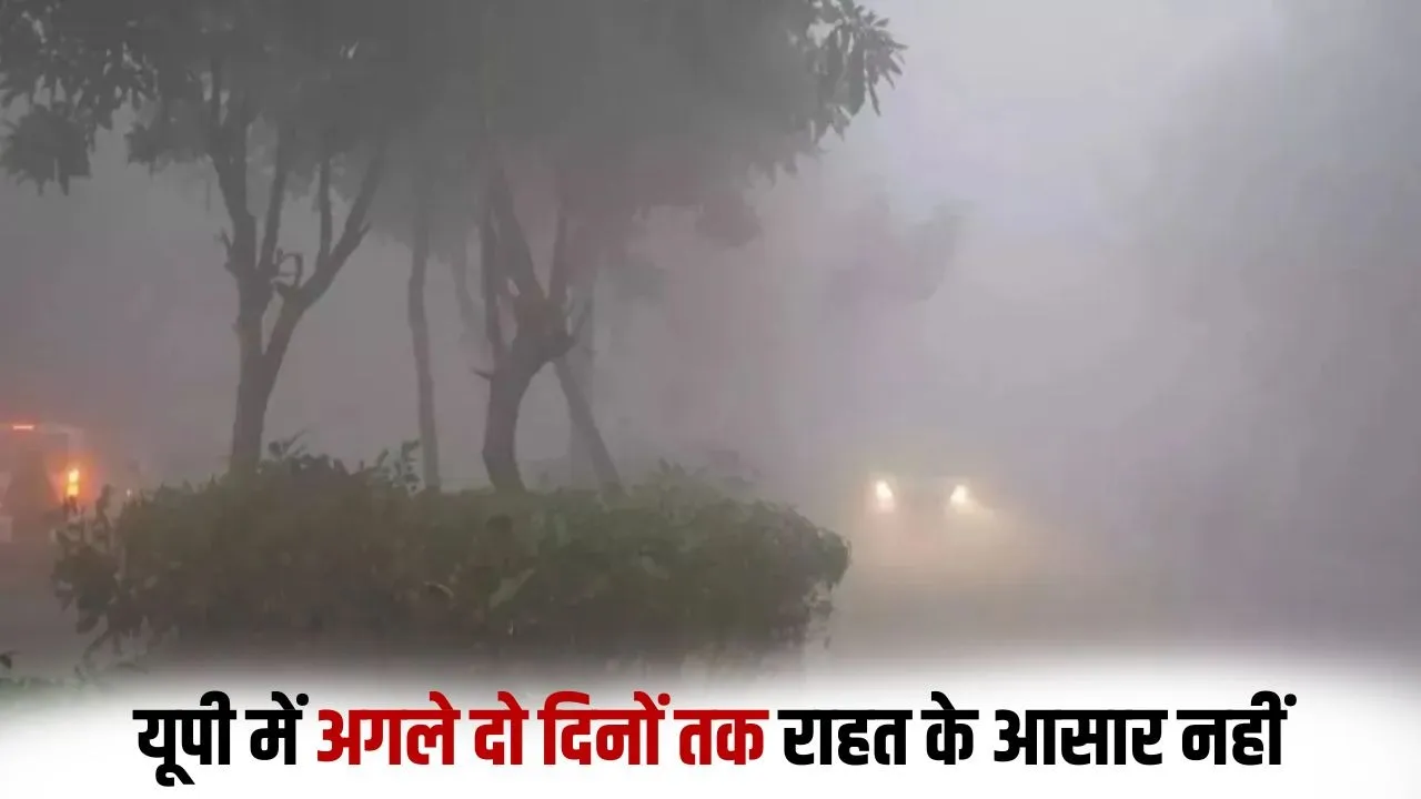 _up-weather udpate next 2 days extreme cold day dense-fog-IMD warning kanpur lucknow noida hindi zxc