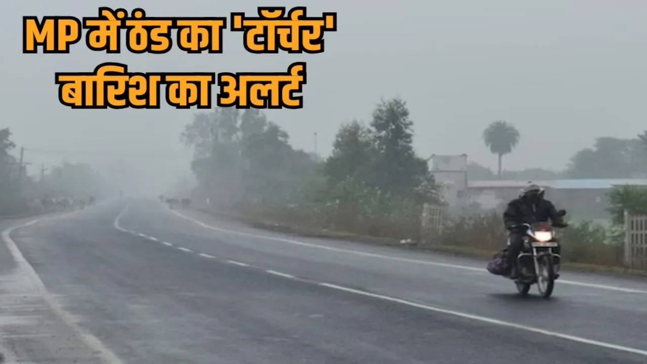 mp weather update new year 2026 cold wave rain alert gwalior chambal forecast hindi news zvj