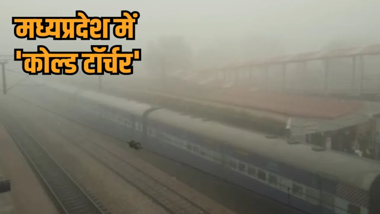 mp weather update cold wave fog alert school holiday train flight delay hindi news zvj