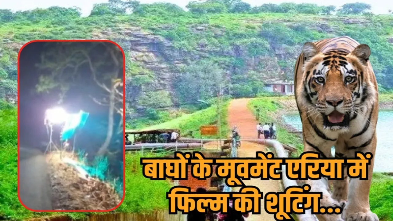 bhopal illegal film shooting tiger movement area kerwa dam forest violation hindi news zvj