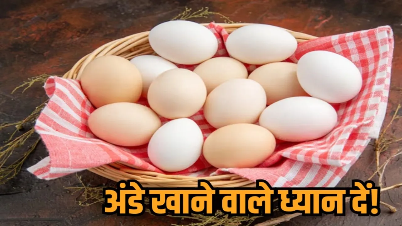 mp egg sample testing nitrofuran fssai alert fresh egg identification hindi news zvj