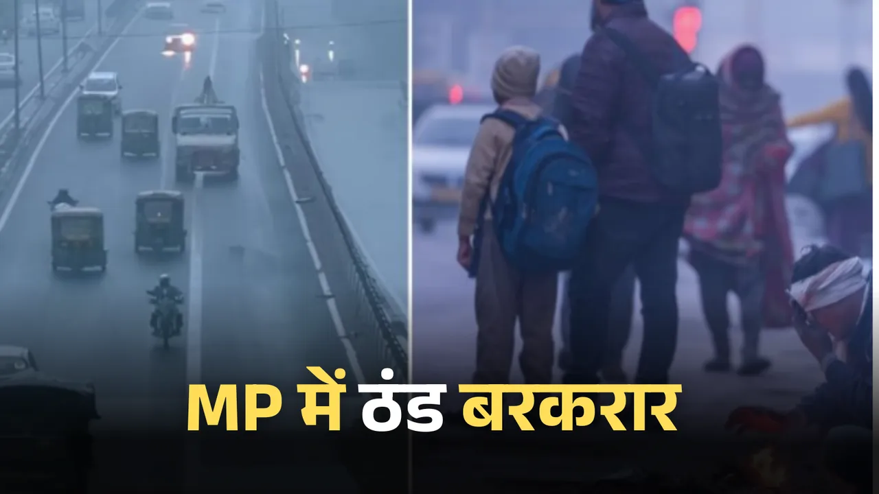 WEATHER UPDATE 11 JAN