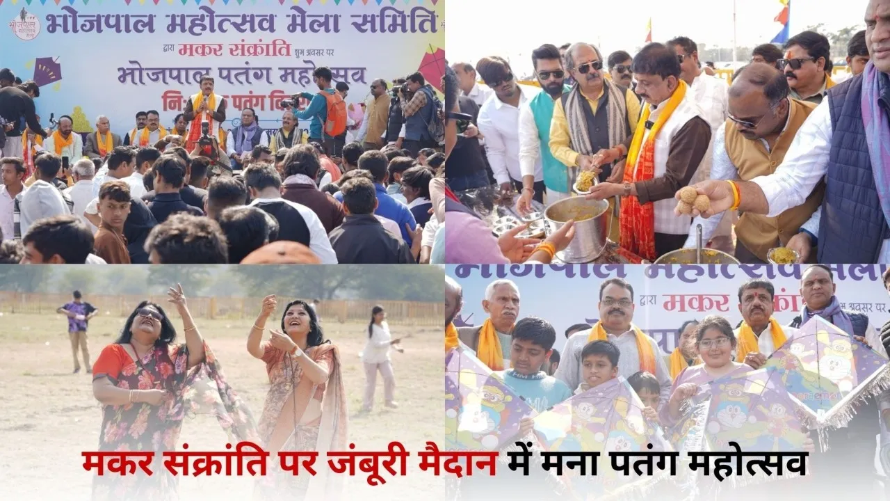 makar sankranti (10)