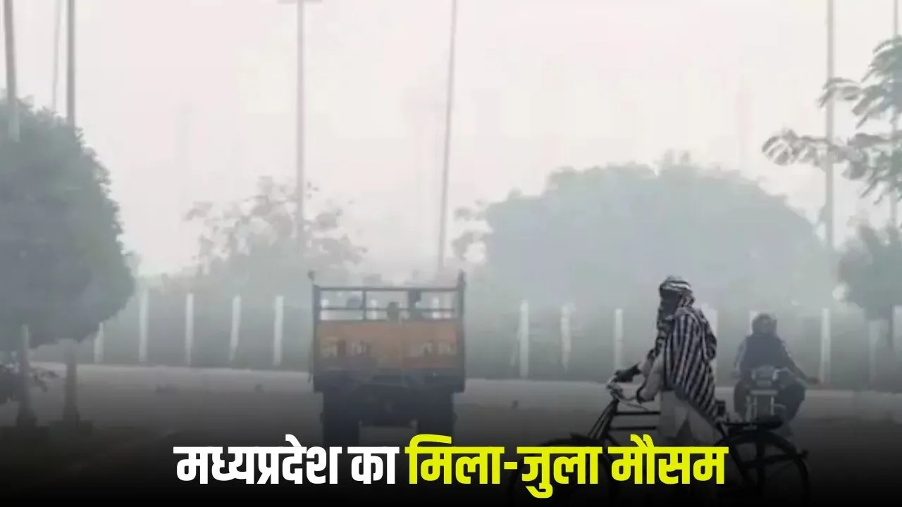 MP Weather Update 19 January 2026