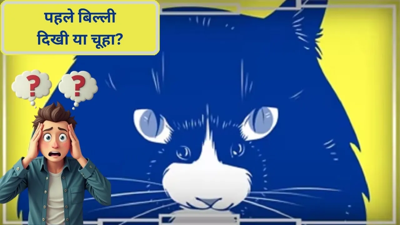 optical illusion quiz