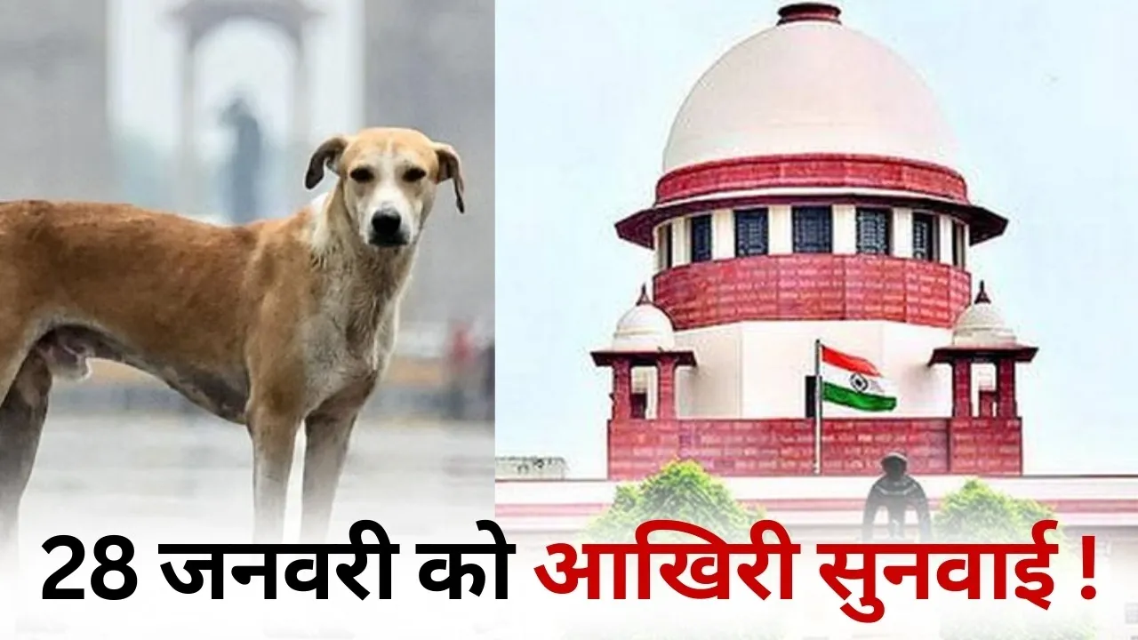 Street Dog Case Supreme Court statement dog feeders hindi news