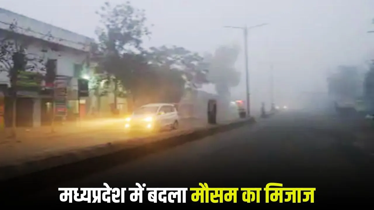 MP Weather Update 25 January 2026