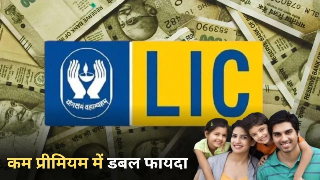 lic (2)
