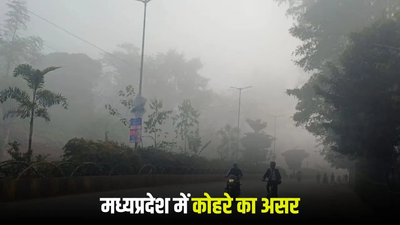 MP Weather Update January 29 2026