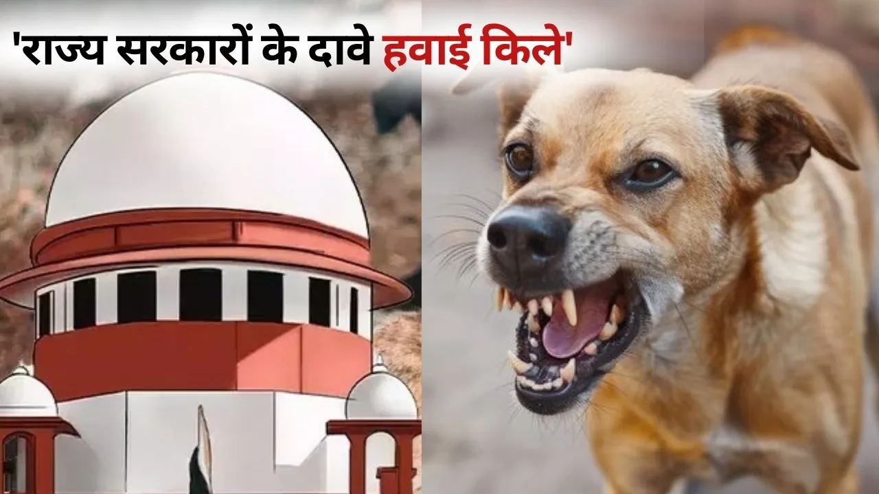 stray dog case Supreme Court hearing complete decision reserved hindi news