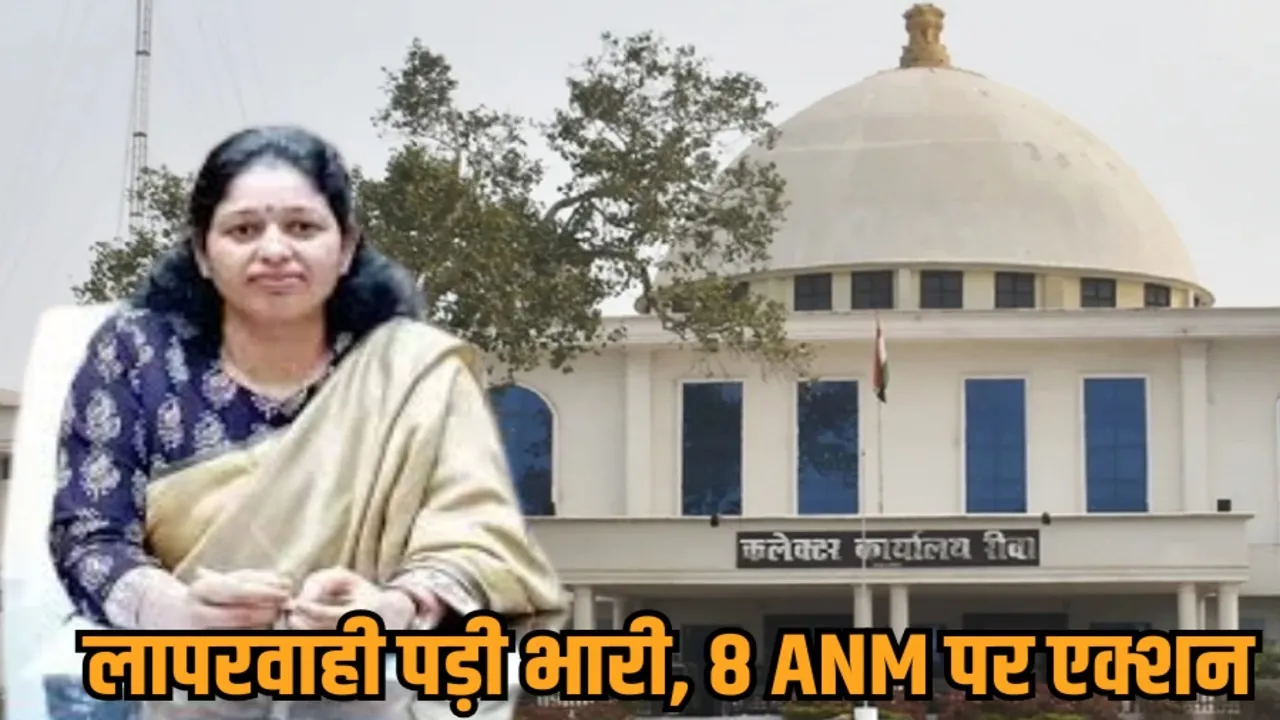 rewa collector action three anm suspended five salary deducted pregnancy data negligence hindi news zvj