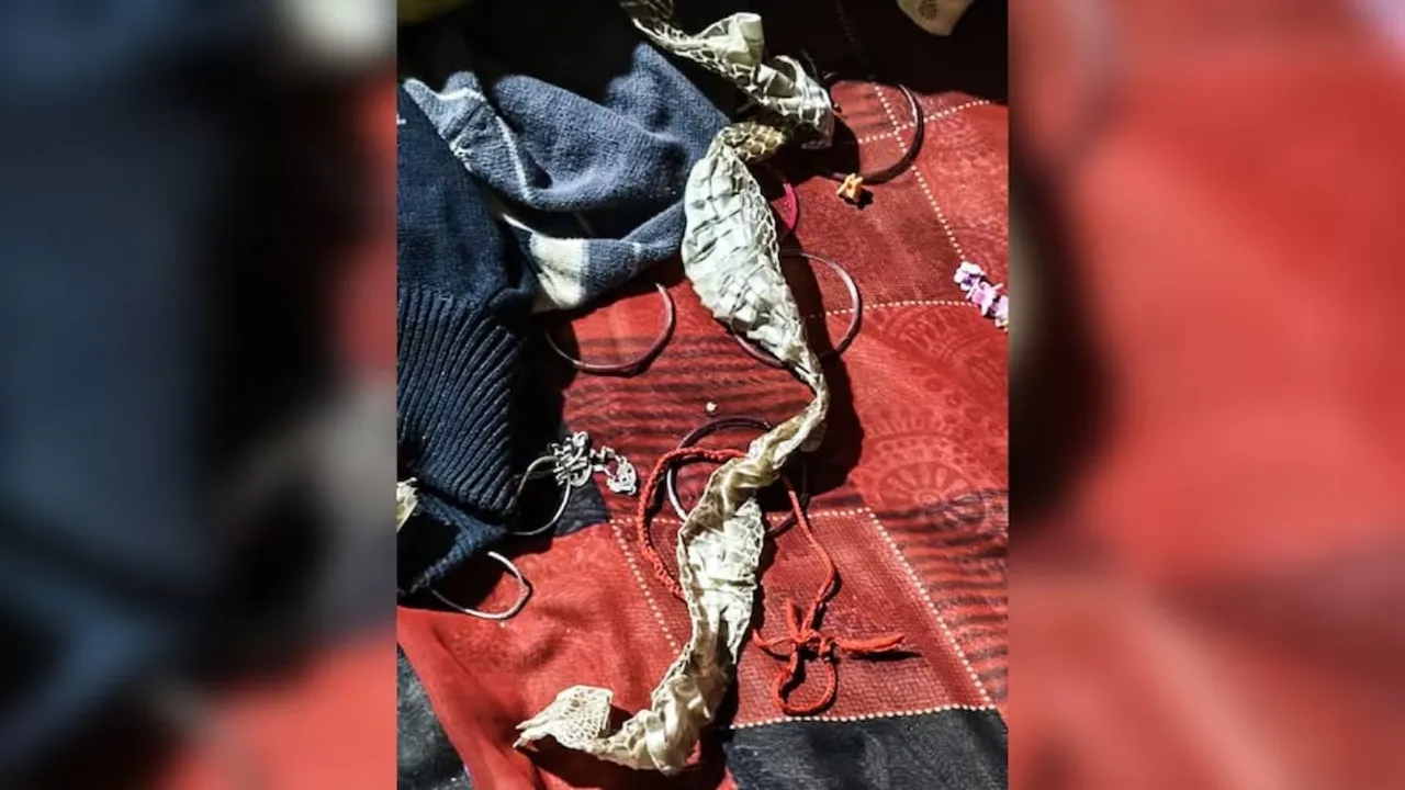 Auraiya Girl Fake Nagin rumour-love-affair-case Up news hindi zxc