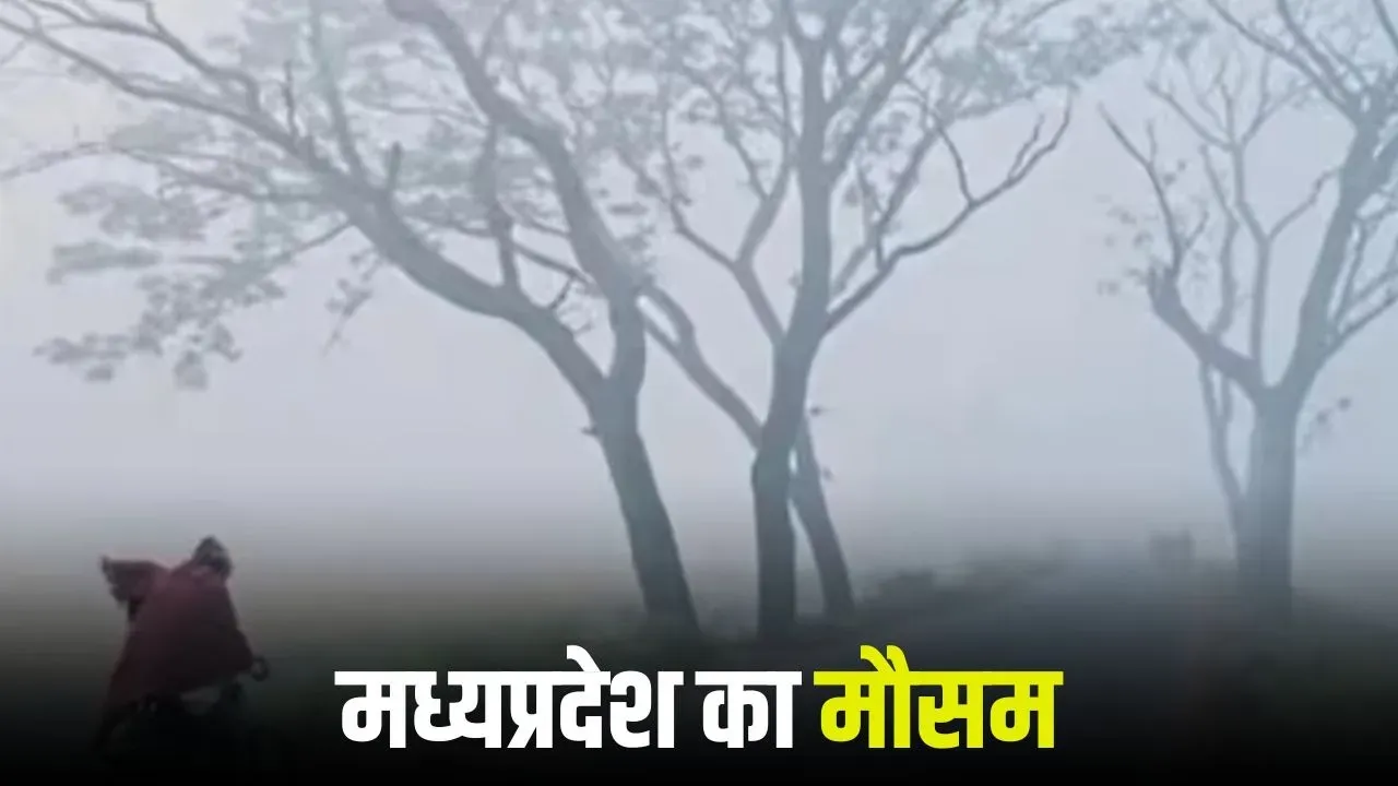 mp weather update february cold wave forecast cyclonic circulation impact hindi news zvj