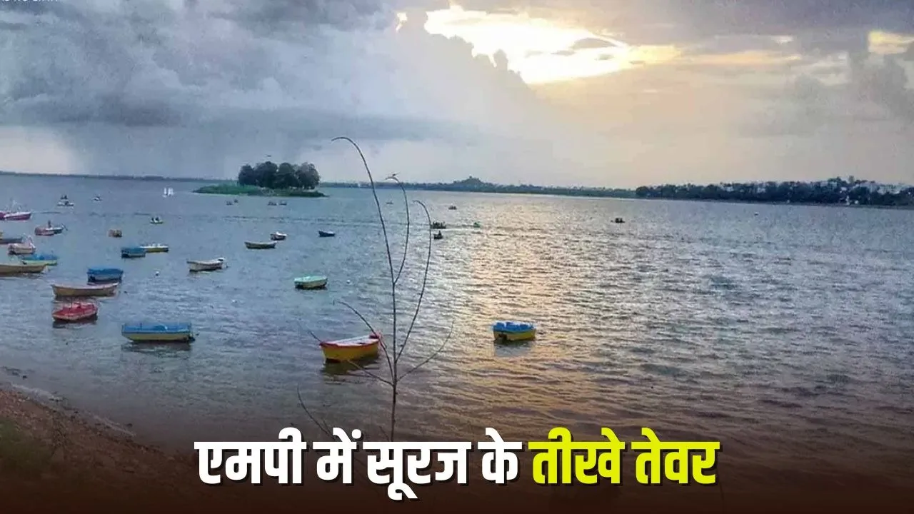 MP Weather Today 12 February 2026