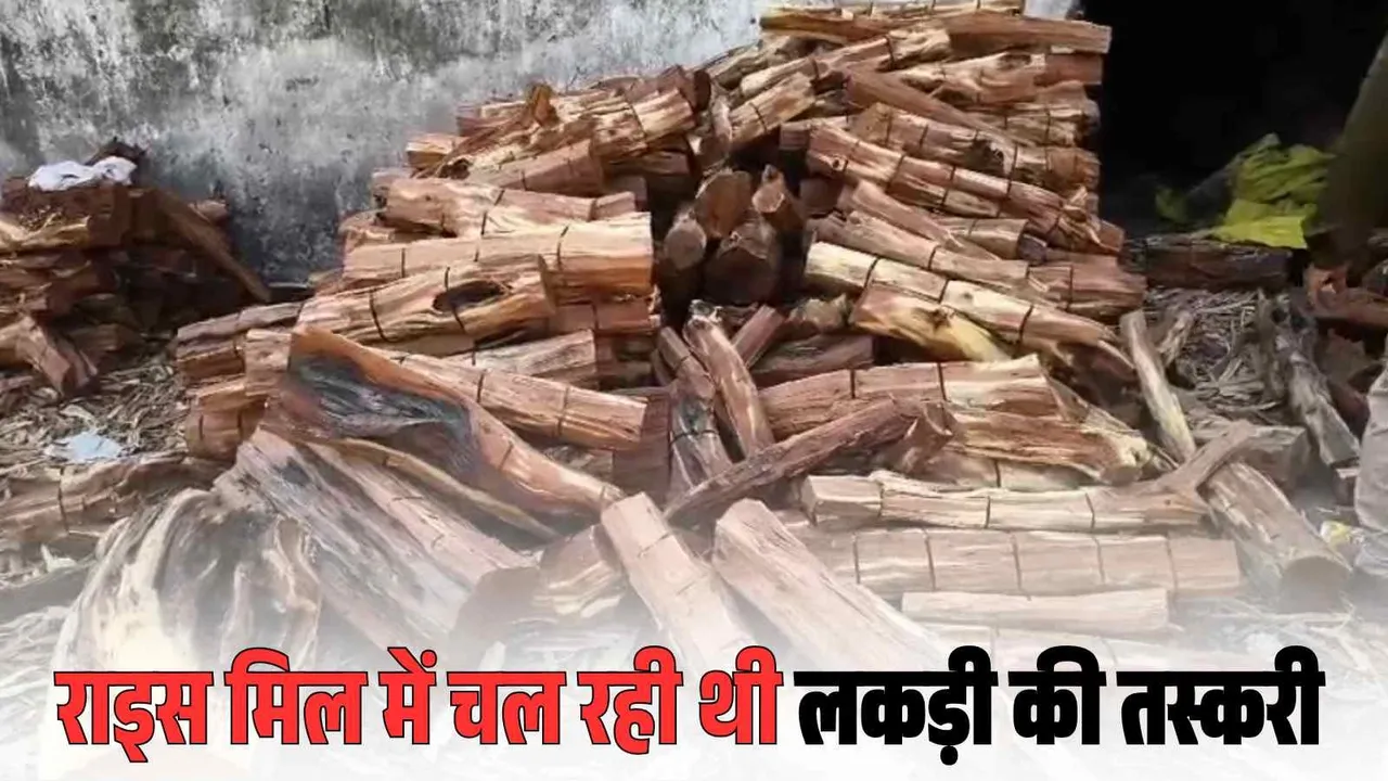 Jangir Champa Timber Smuggling