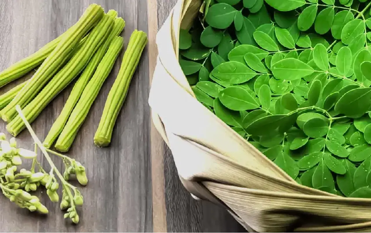 Moringa Leaf Benefits