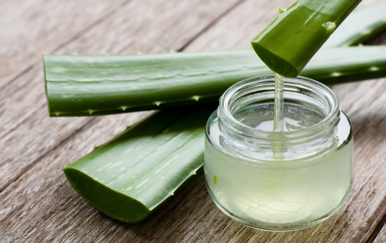 एलोवेरा जूस के फायदे: जाने कितने दिनों तक पीना चाहिए एलोवेरा जूस, क्या हैं इसके फायदे; पढ़ें सही तरीका और समय