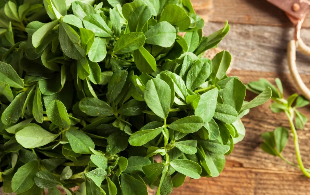 मेथी के पत्तों के फायदे: कई बीमारियों का रामबाण इलाज है ये पत्तेदार हरी सब्जी, इम्यून सिस्टम को करती है मजबूत