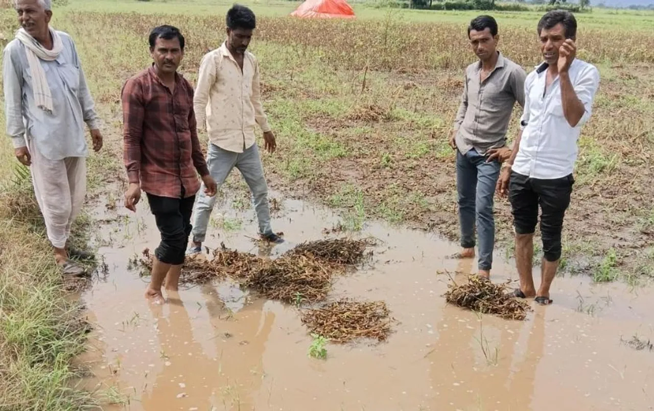 एमपी के इस जिले में बारिश का किसानों पर कहर: पानी में बह गई खेतों में काटकर रखी फसलें, किसानों के चेहरे मुरझाये