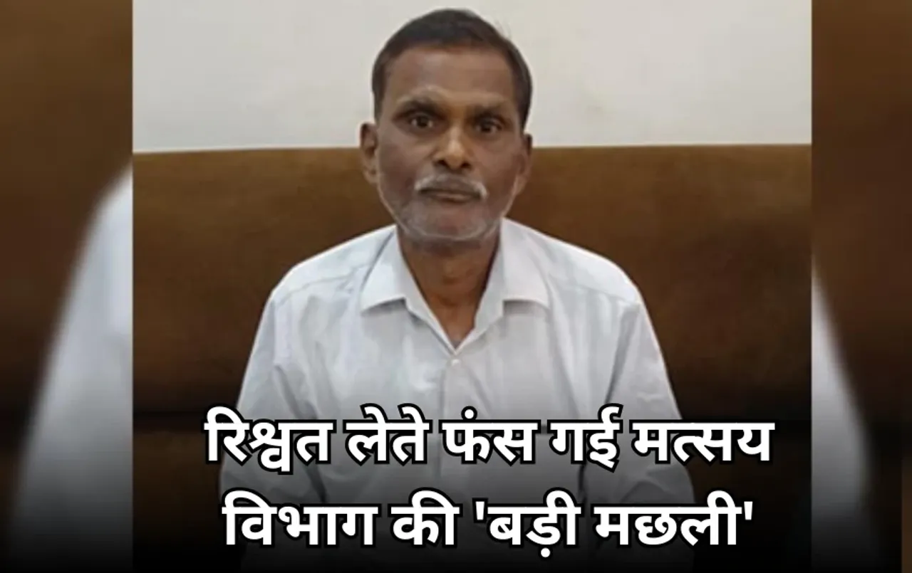 फिशरीज डिपार्टमेंट का सहायक संचालक रिश्वत लेते गिरफ्तार: हाईकोर्ट के स्टे मामले में जवाब देने के लिए मांगे थे 5 हजार