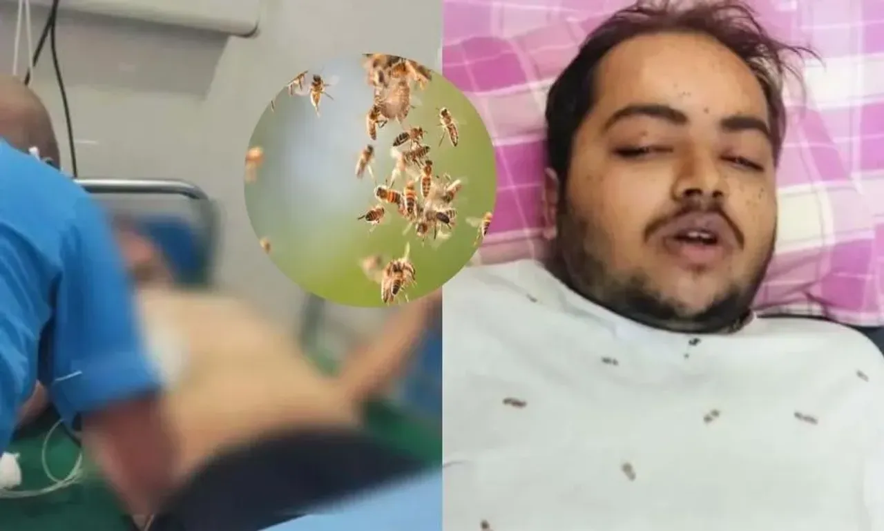 CG Dhamtari Bees Attack