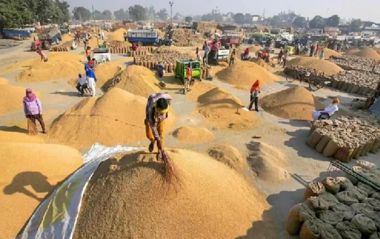 CG Dhan Kharidi Update