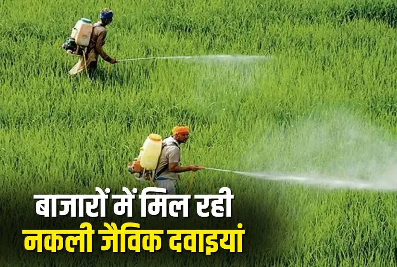 CG Kisan News