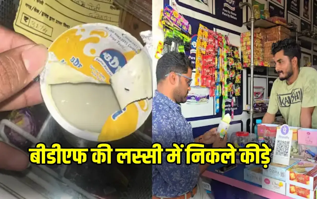 CG Lassi Insects Video