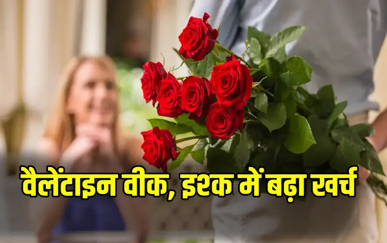 CG Rose Flower Price