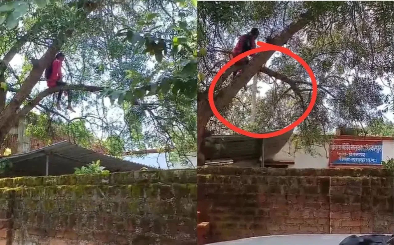 सूरजपुर में युवती का 'शोले' स्टाइल हंगामा: प्रेमी की गिरफ्तारी तक पुलिस चौकी के पेड़ पर चढ़ी रही, कई घंटों तक मचा बवाल