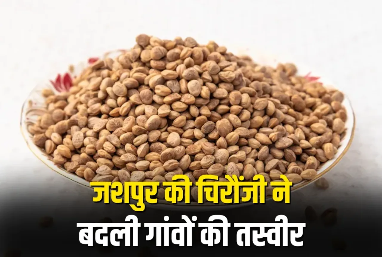 Chhattisgarh Chironji