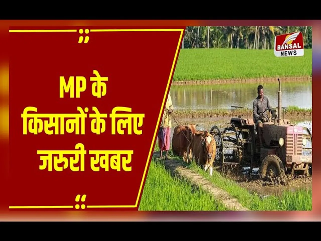 बंपर पैदावर: धान, ज्वार, बाजरा की बिक्री के लिए रिकॉर्ड रजिस्ट्रेशन, सोयाबीन किसानों के लिए ये अपडेट