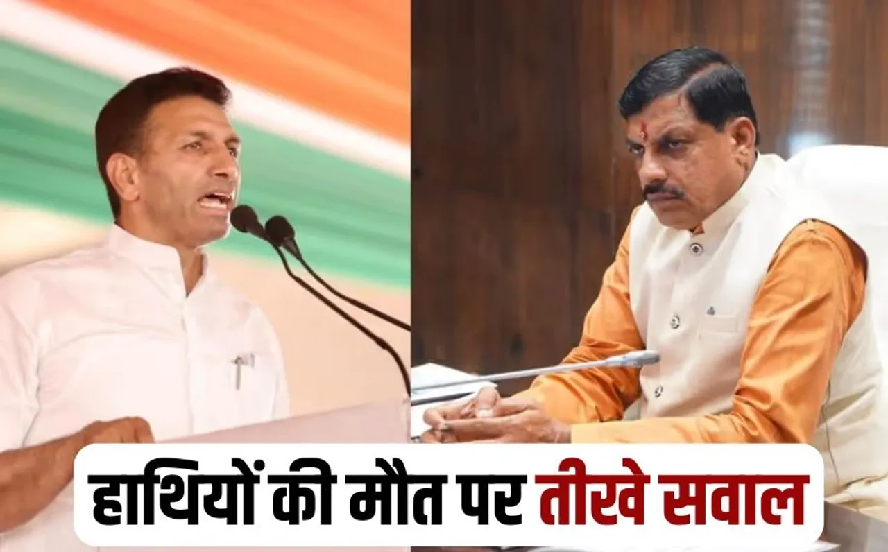 Death Of Elephants In Bandhavgarh Congress attacks BJP government hindi news