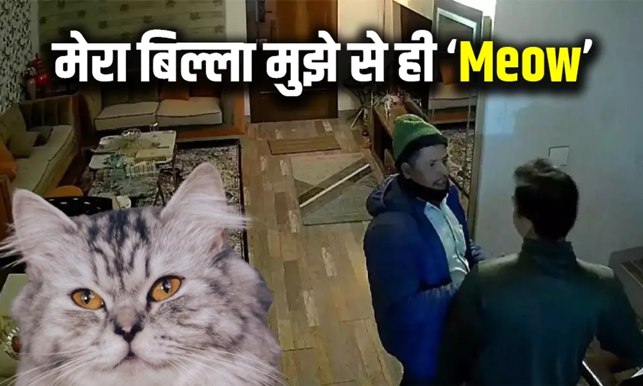 इंदौर कारोबारी ने बिल्ला पालने के लिए रखा नौकर: बेहोश कर घर से उड़ा ले गया ड़ेढ करोड़, घटना का सीसीटीवी फुटेज आया सामने